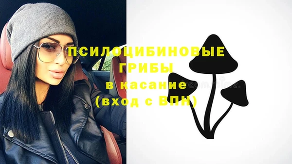 а пвп мука Дмитровск