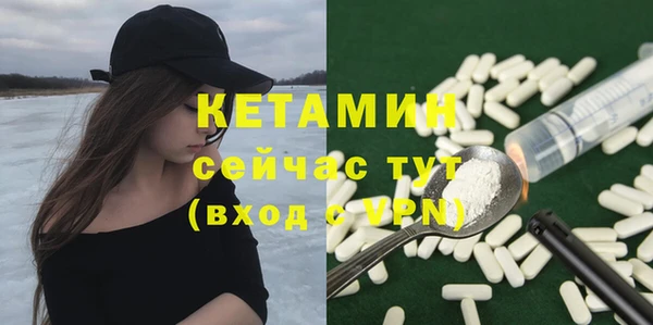 стафф Дмитриев