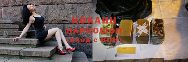 стафф Дмитриев
