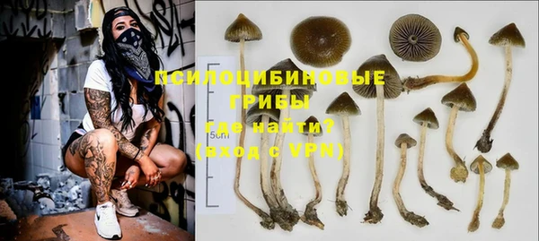 стафф Дмитриев