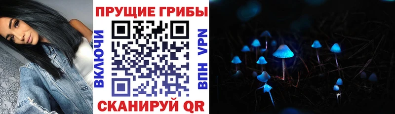 Псилоцибиновые грибы Psilocybe  наркота  Дно 